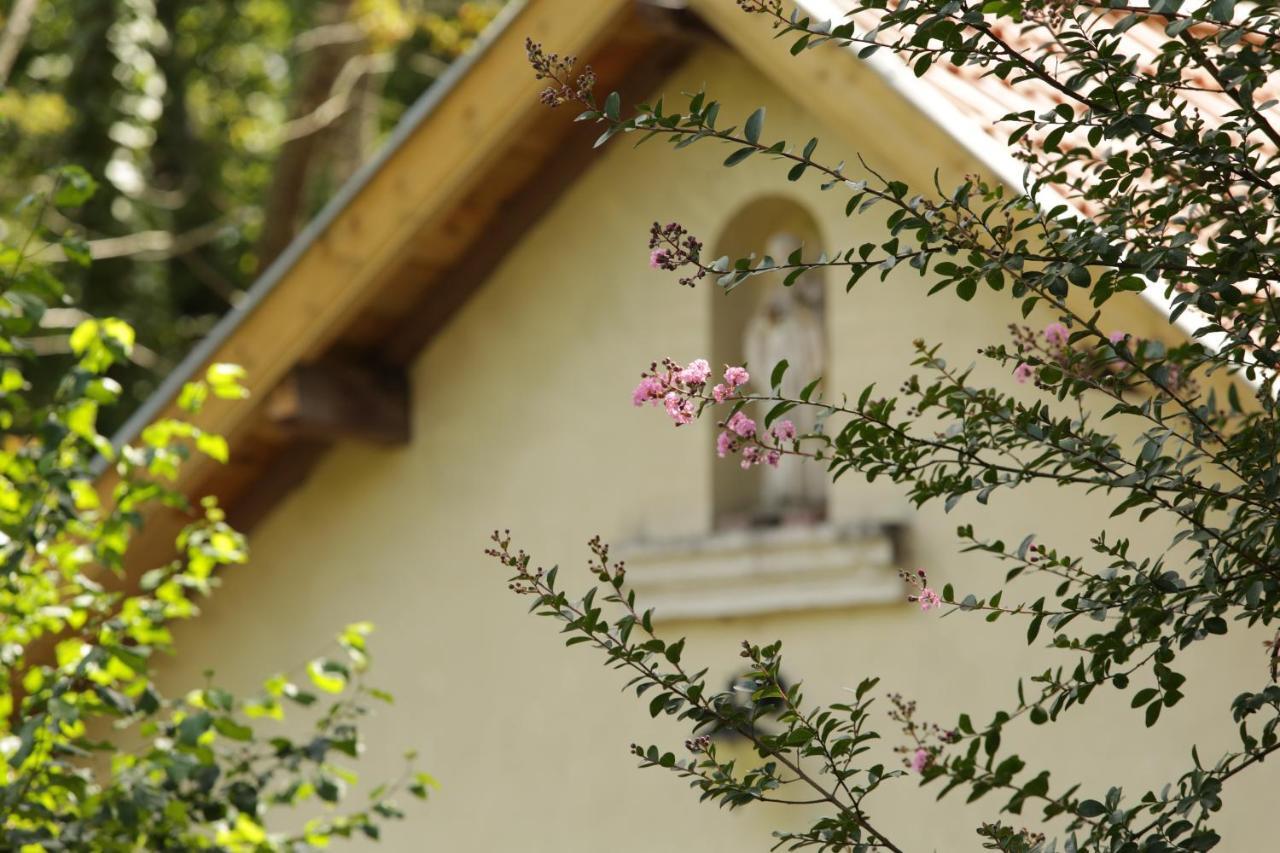 Chateau Saint Martin B&B Pouillon Exterior foto