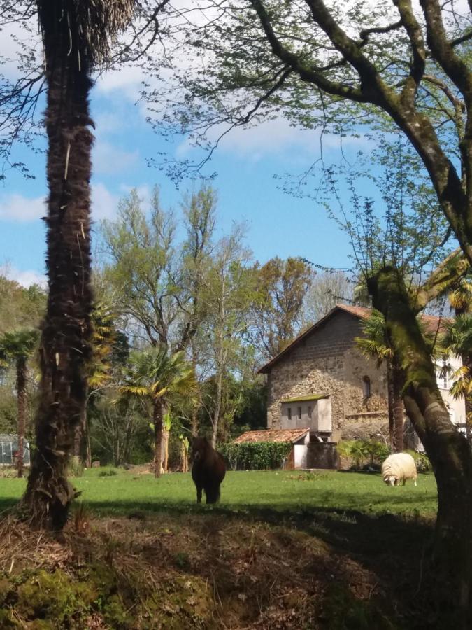 Chateau Saint Martin B&B Pouillon Exterior foto