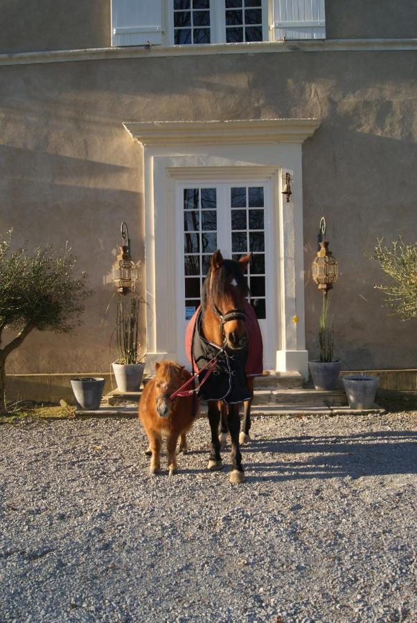 Chateau Saint Martin B&B Pouillon Exterior foto
